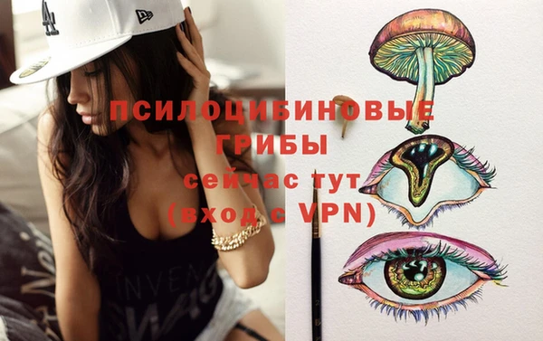 прущие грибы Володарск