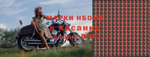 прущие грибы Володарск