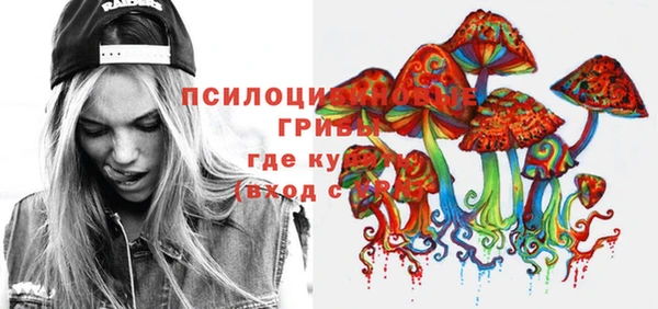 спайс Алзамай