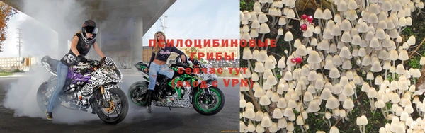 гидра Алексеевка