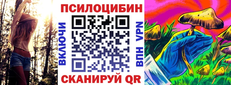 продажа наркотиков Краснообск кракен как войти Псилоцибиновые грибы Psilocybine cubensis